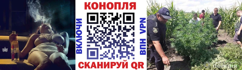 A-PVP Енисейск