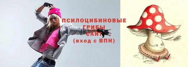 круглые Алексеевка