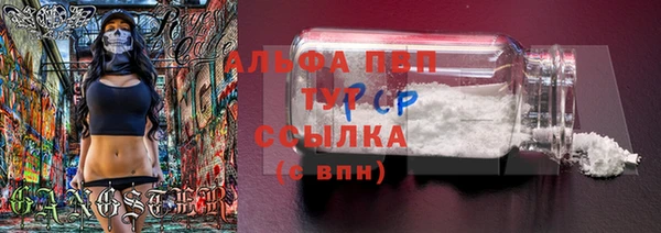 стаф Алексин