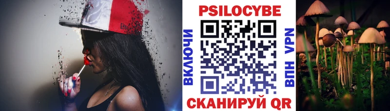 Галлюциногенные грибы Psilocybine cubensis  Енисейск 